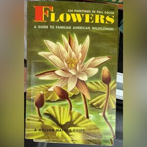 Vintage Flowers flower floral illustrations illustrated book Water Lily cover